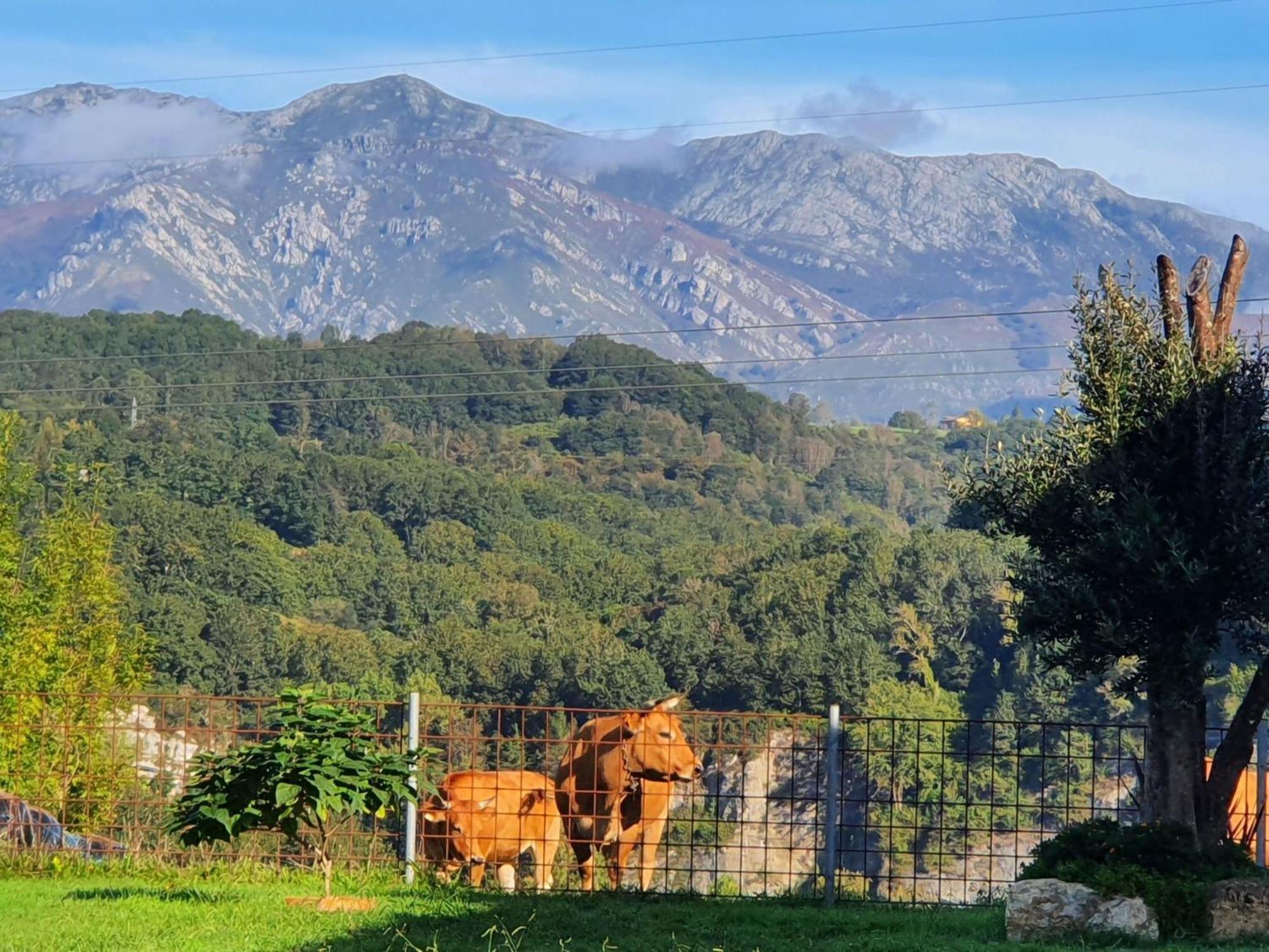 La Torre De Llames อาร์ริออนดาส ภายนอก รูปภาพ